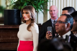 Κορονοϊός - Χόουπ Χικς: Ποιο είναι το 31χρονο πρώην μοντέλο που κόλλησε τον Τραμπ και τη Μελάνια - εικόνα 6