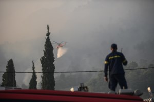 Πτώση Canadair στην Κάρυστο: Αυτοί είναι οι δύο ηρωικοί πιλότοι που έχασαν τη ζωή τους στη μάχη με τη φωτιά - εικόνα 4