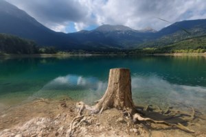 Καρδίτσα: Η μαγική εναλλαγή χρωμάτων το φθινόπωρο στη λίμνη Πλαστήρα [εικόνες] - εικόνα 2