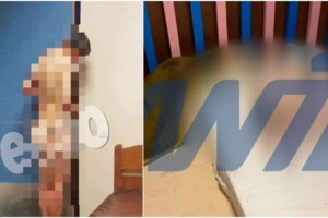 Θεσσαλονίκη: Εισαγγελική παρέμβαση μετά την αποκάλυψη για τις συνθήκες στο Κέντρο Αποκατάστασης ΑμεΑ "Άγιος Δημήτριος" - εικόνα 2