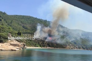 Σε έξαρση οι δασικές πυρκαγιές στην Ελλάδα: Εκδηλώθηκαν 57 το τελευταίο 24ώρο - Η κατάσταση στα πύρινα μέτωπα - εικόνα 2