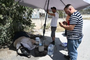 Πυρομανείς, κτηματικές διαφωνίες και προσωπικές διαφορές: Tο προφίλ των ατόμων που συνελήφθησαν για εμπρησμούς - εικόνα 4