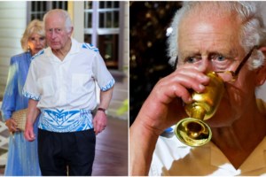 Καμίλα: Κέιτ Μπλάνσετ, Κόρντεν, Γκάρφιλντ στο  "πράσινο δωμάτιο" του Μπάκιγχαμ - Η συνάντηση για το Εθνικό Θέατρο του Λονδίνου - εικόνα 7