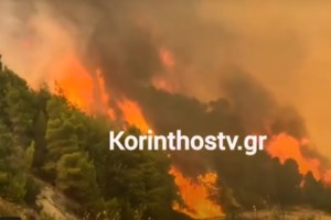 Φωτιά στην Κορινθία: Ολονύχτια μάχη με τις αναζωπυρώσεις - Στην περιοχή ο Κικίλιας, ήχησε το 112 - Στάχτη έγιναν καλλιέργειες - εικόνα 6