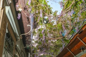 Καιρός: Λασποβροχές, ζέστη και αφρικανική σκόνη σήμερα - Σε ποιες περιοχές βρέχει - εικόνα 3