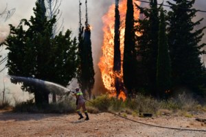 Φωτιά στη Σταμάτα: Ποινική δίωξη στον 64χρονο μελισσοκόμο για εμπρησμό από αμέλεια - εικόνα 3