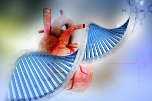 Ο καρκίνος σκοτώνει τους μοναχικούς άνδρες - Έρευνα Φινλανδών επιστημόνων - εικόνα 2