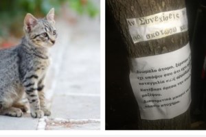 Κυψέλη: Ξεψύχησε ο σκύλος που μαχαιρώθηκε από 47χρονο - "Δεν έχω δει τέτοια βαναυσότητα", λέει ο πρόεδρος του ΔΙΚΕΠΑΖ - εικόνα 9