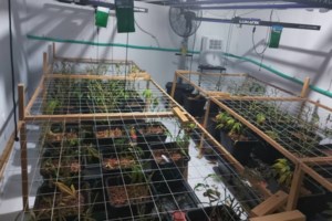 Ζωγράφου: Σάκος με 8 μολότοφ έτοιμες προς χρήση βρέθηκε στην είσοδο της Πολυτεχνειούπολης