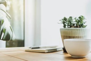 Κρίταμο για το ταξίδι, χαρούπι για απώλεια βάρους και τσάι του βουνού για δυνατή μνήμη - Τα "παραμελημένα" φυτά