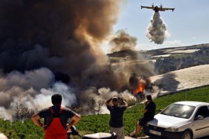 Φωτιά στην Κέρκυρα: Επίγειες δυνάμεις και πέντε αεροσκάφη επιχειρούν για την κατάσβεση δασικής έκτασης