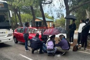 Πέλλα: Δύο μικρά αρκουδάκια εντοπίστηκαν νεκρά - Πολύ πιθανό να τα σκότωσαν με όπλο ή να τα δηλητηρίασαν