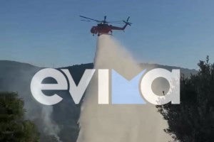 Φωτιά στην Εύβοια: Η φωτογραφία που προκαλεί  δέος  - Ο πυροσβέστης παλεύει μόνος με τις γιγάντιες φλόγες