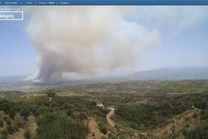 Φουντώνει η φωτιά στη Γορτυνία: Στήνεται φραγμός στα όρια Ηλείας και Αρκαδίας - Συνεχείς εκκενώσεις [εικόνες] - εικόνα 5