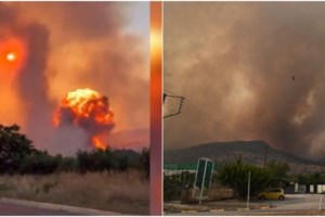 Θεσσαλονίκη: "Έξυπνο" ραντάρ προστατεύει το δάσος του Σέιχ Σου - Εντοπίζει τη φωτιά σε λίγοτερο από ένα λεπτό [βίντεο] - εικόνα 2