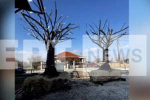 Επανεμφάνιση Σταϊκούρα για Τέμπη: Κανείς δεν μπορεί να βάλει το χέρι του στη φωτιά για τυχόν παράνομο φορτίο