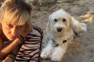 Η εξαφάνιση Ολυμπίας Κηρύκου πριν από 30 χρόνια: Από τα πιο μεγάλα μυστήρια - Έδωσε DNA ο αδελφός της - εικόνα 2