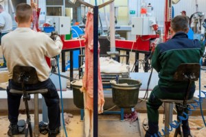 Η συνωμοσιολογία σε άλλο επίπεδο - Ο Μητροπολίτης Μόρφου "αποκαλύπτει" ότι ο Αστερίξ μιλούσε για τον κορονοϊό το 2017 [βίντεο]