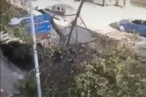 Χαμός στη Θεσσαλονίκη: Πτώσεις δεκάδων δέντρων και πινακίδων - Βίντεο καταγράφει τη θεομηνία στον Θερμαϊκό