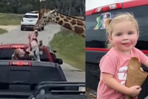 Κινέζικη "πατέντα": Σωλήνας τροφοδοτεί με νερό τον πιο μεγάλο καταρράκτη - Πώς αποκαλύφθηκε το... fake φυσικό μνημείο - εικόνα 2