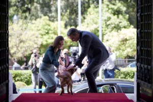 Φινλανδία: Σάλος με την 36χρονη πρωθυπουργό που χορεύει, πίνει και τραγουδά σε πάρτι [βίντεο] - εικόνα 2