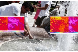 Φονικός καύσωνας: Περισσότεροι από 60.000 άνθρωποι πέθαναν στην Ευρώπη το καλοκαίρι του 2022