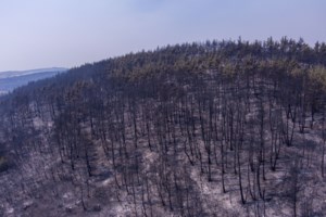 Καλλιακμάνης: Από κάψιμο ελαστικών ξεκίνησε πιθανόν η φωτιά στον Ασπρόπυργο – Στη Χασιά υπήρχαν καλώδια υψηλής τάσης
