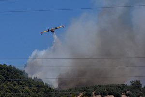 Φωτιά στις Κεχριές: Για ολιγωρία κάνει λόγο ο ΣΥΡΙΖΑ- Αβάσιμες οι κατηγορίες για τα εναέρια μέσα, λέει η πολιτική προστασία - εικόνα 2