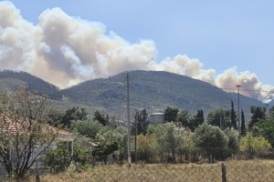 Φωτιά στη Σύρο: Καίει κοντά σε σπίτια - Μήνυμα εκκένωσης "112" για τη Χρούσα - Πυρκαγιές σε Ροδόπη και Καβάλα - εικόνα 6