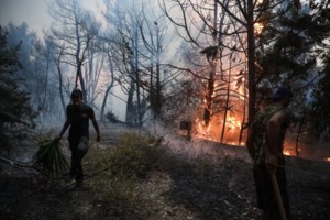 Διευκρινίσεις της ΔΕΗ για τους λογαριασμούς ρεύματος των πυρόπληκτων: Πότε γίνεται διαγραφή οφειλών