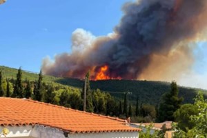 Φωτιά στο Μαρμάρι Ευβοίας: Συνεχείς αναζωπυρώσεις, απειλούνται πάλι σπίτια - Εμπρησμό βλέπει η κυβέρνηση [εικόνες] - εικόνα 6