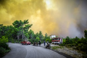 Αρτοποιός για Ρόδο: Οι φωτιές μπαίνουν από ανθρώπινο χέρι - Εχουν κληθεί αρκετοί για καταθέσεις