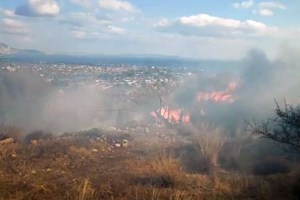 Μεγάλη φωτιά στον Πάρνωνα  στην Αρκαδία - Αντιδήμαρχος: Δίνουμε μάχη [Εικόνες] - εικόνα 2