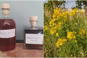 Αυτό είναι το φαγητό που μπήκε στην άυλη πολιτιστική κληρονομιά της ανθρωπότητας από την UNESCO