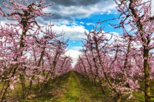 Σάκης Αρναούτογλου: Συννεφιά και τοπικές μπόρες την Τετάρτη - Πώς θα είναι ο καιρός την 25η Μαρτίου [βίντεο]
