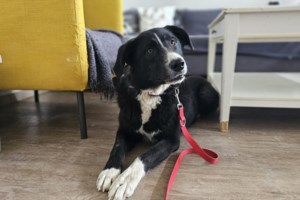 Θέλετε να πάρετε στην αγκαλιά σας τον Μορφέα; Θα του αλλάξετε τη ζωή για πάντα - εικόνα 3