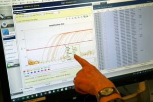 Κορονοϊός - Αυστρία: Άρση των περιορισμών, αλλά υποχρεωτική η μάσκα