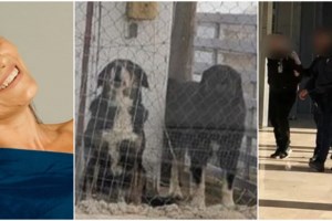 Θεσσαλονίκη: Για απόπειρα βιασμού είχε καταδικαστεί ο 37χρονος ιδιοκτήτης των σκύλων - Εχει πλούσιο ποινικό παρελθόν - εικόνα 2