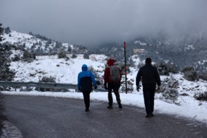 Τρομακτικό τροχαίο στην Εύβοια: Νταλίκα ντελαπάρισε από τον αέρα και κρέμεται σε γκρεμό - Πρόλαβε να βγει ο οδηγός - εικόνα 2