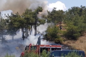 Οριοθετήθηκε η φωτιά στην Τριανταφυλλιά Σερρών