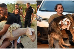 Ολσιέν Μουτσομπέγκα: "Είμαι τρελάκιας με τα ζώα" - Ποιος είναι ο 33χρονος που έσωσε το πρόβατο και δεμένους σκύλους στην Αχαΐα - εικόνα 2