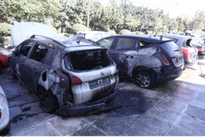 Νέα επιτυχία της ΕΛΑΣ: Εντοπίστηκε φυτεία με χιλιάδες δενδρύλλια κάνναβης με...παρατηρητήρια και πότισμα από πηγή [Εικόνες]