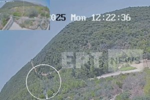 Φωτιά σε αγροτοδασική περιοχή στον Δομοκό: Σηκώθηκαν PZL [εικόνες] - εικόνα 5