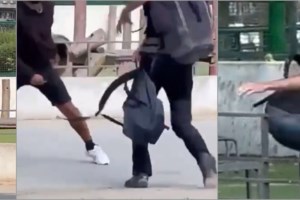 Γαλλία: Νεκρή 11χρονη στον κήπο του σπιτιού της - 71χρονος γείτονας άνοιξε πυρ λόγω μακροχρόνιας κόντρας - εικόνα 2