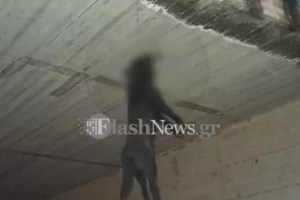 Εντοπίστηκε ο δράστης της κακοποίησης σκύλου στα Χανιά – Πρόστιμο 30.000 ευρώ