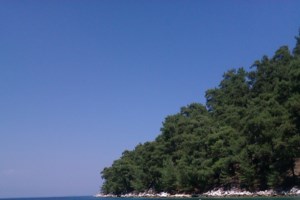 Θάσος: Νεκρός σε τροχαίο εποχικός πυροσβέστης - "Τον έβαλαν 34 ώρες υπηρεσία με 2,5 ώρες ανάπαυση" - εικόνα 3