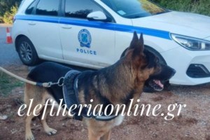 Κυπαρισσία: Για 10.000 ευρώ δολοφόνησαν τον 31χρονο - Είπε στον πρώην συγκάτοικό του για τις οικονομίες μιας ζωής