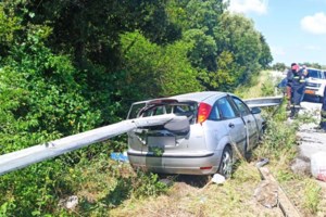 Αμφιλοχία: Άγρια άλογα καλπάζουν στην Ιονία Οδό [Βίντεο] - εικόνα 2
