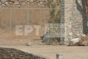 Σύμη: Με δάκρυα στα μάτια ο καμεραμάν της ΕΡΤ που βρήκε τον νεκρό παρουσιαστή – "Ηταν ξαπλωμένος με τα χέρια πάνω στην κοιλιά" - εικόνα 2