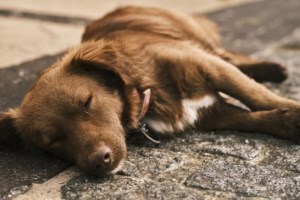 Οικογενειακή τραγωδία στην Πάτρα: Πατέρας και γιος πέθαναν με διαφορά μόλις δύο ωρών